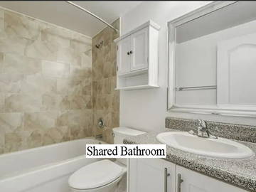 Coliving Toronto 462944-5