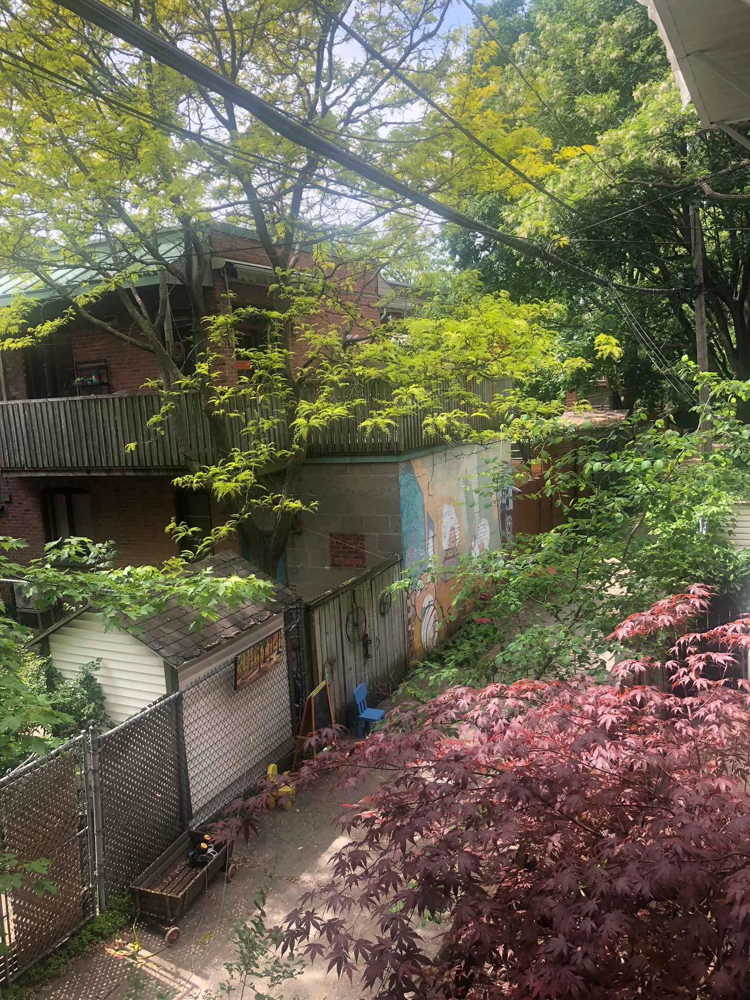 Homestay Montréal 668412