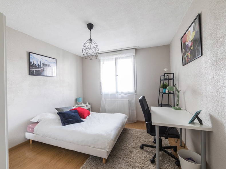 Colocation Strasbourg 264704-1