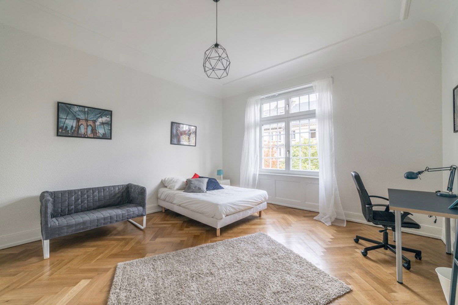 Colocation Strasbourg 264691