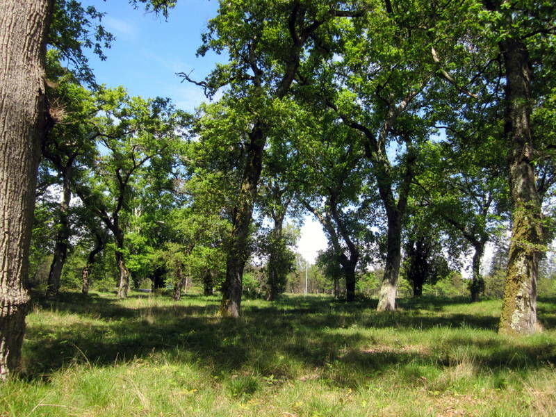 Estudio Independiente Castets 95968