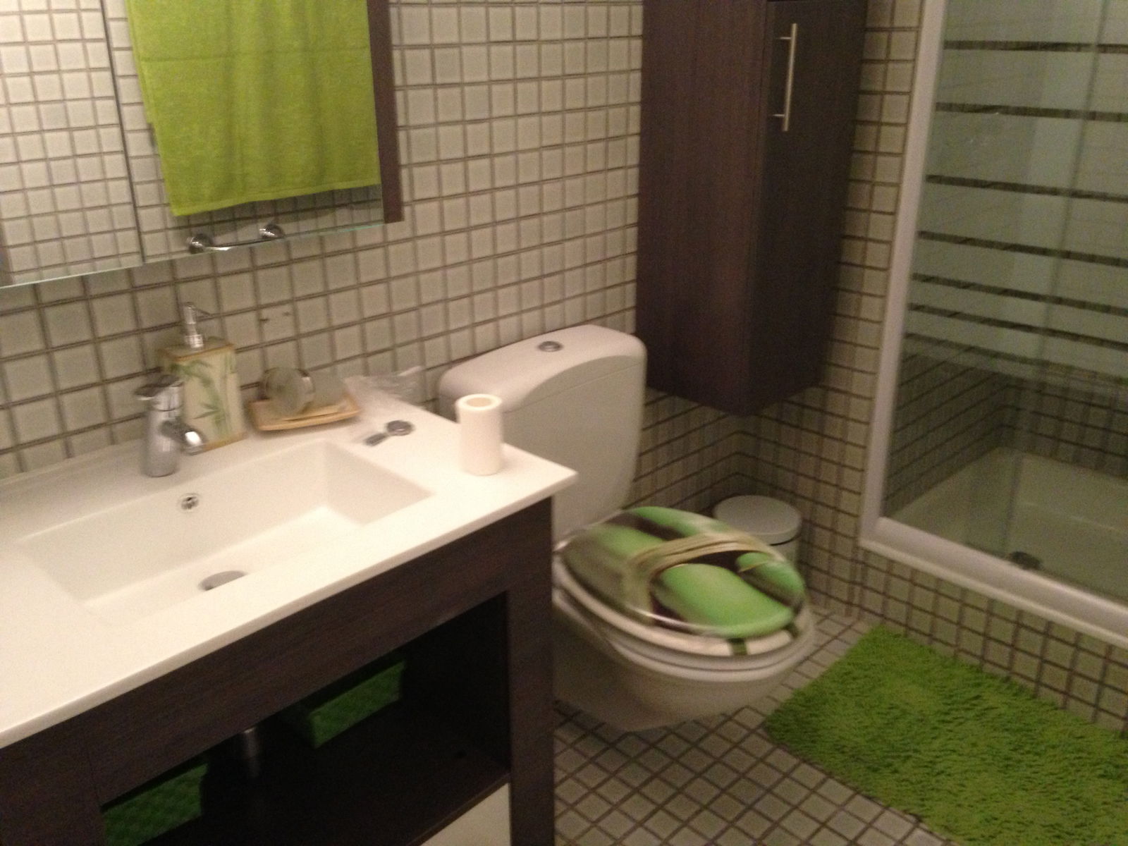 Colocación Lausanne 205857