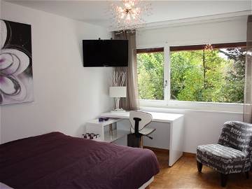 Chambre À Louer Lausanne 205857