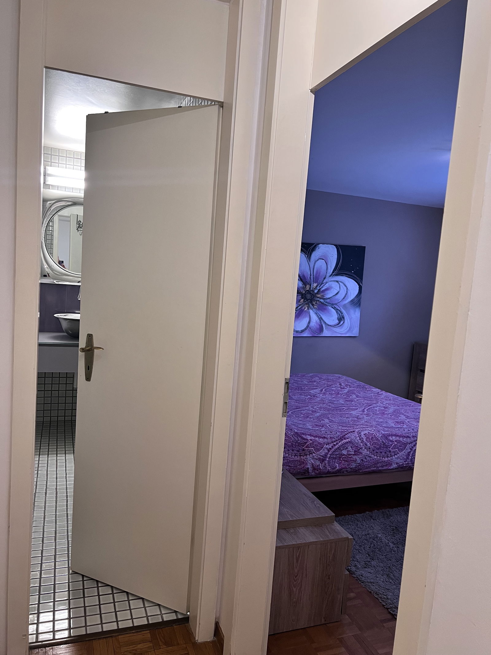 Colocation Lausanne 315506