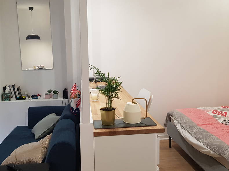Logement Entier Lyon 244720-2