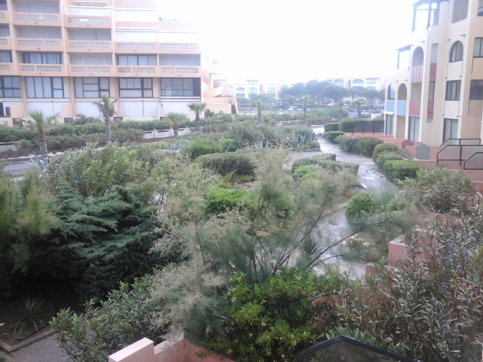 Unabhängiges Studio Le Barcarès 131137