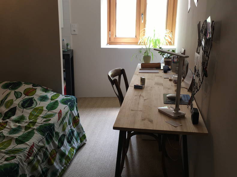 Homestay Chambéry 250952-4