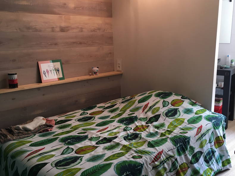 Homestay Chambéry 250952-3