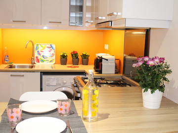 Logement Entier Lyon 249635-7