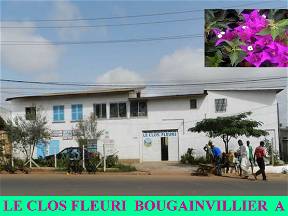 Le Clos Fleuri Bougainvillea A