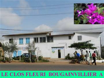 Habitación En Alquiler Yaoundé 11005-1