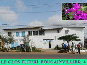 Roomlala | Le Clos Fleuri Bougainvillier A