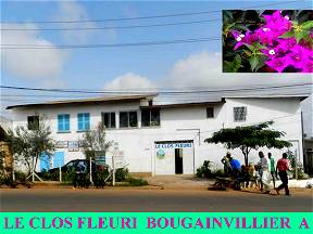 Le Clos Fleuri Bougainvillea A