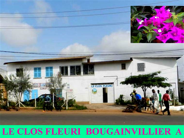 Gastfamilie Yaoundé 11005-1