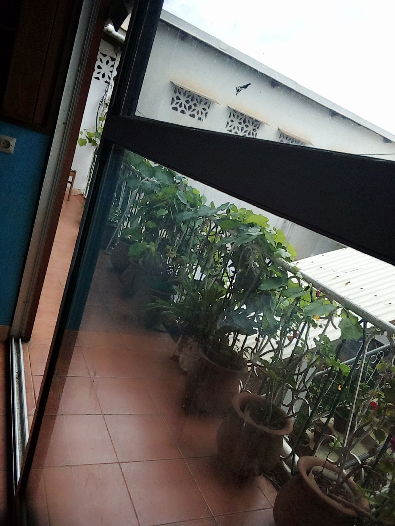 Onofhängeg Studio Yaoundé 11005