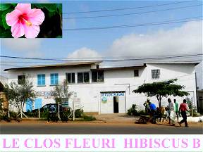 Le Clos Fleuri Hibiskus B