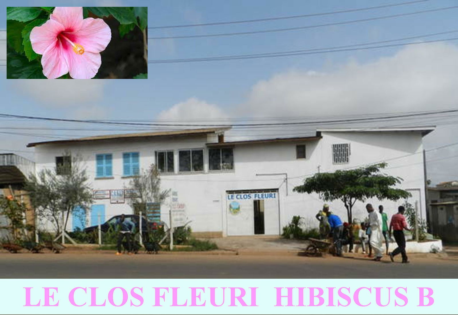 Unabhängiges Studio Yaoundé 258028