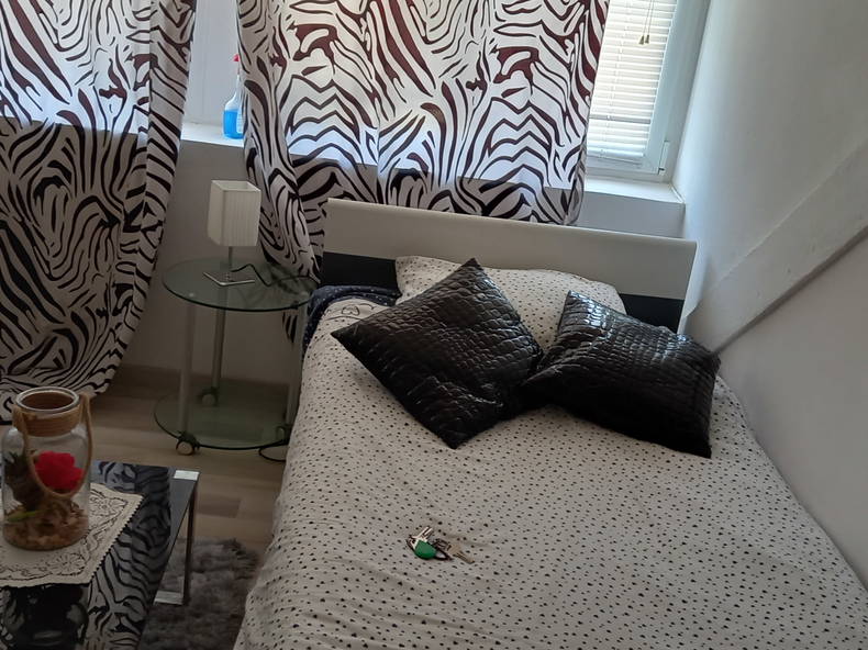 Ganzes Haus Roubaix 224855-5