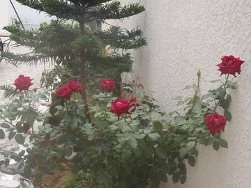 Logement Entier Tunis 124959-10