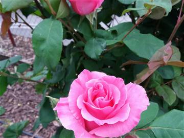 Homestay Fumel 204238-12