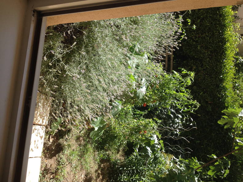 Gastfamilie Lyon 144350-5