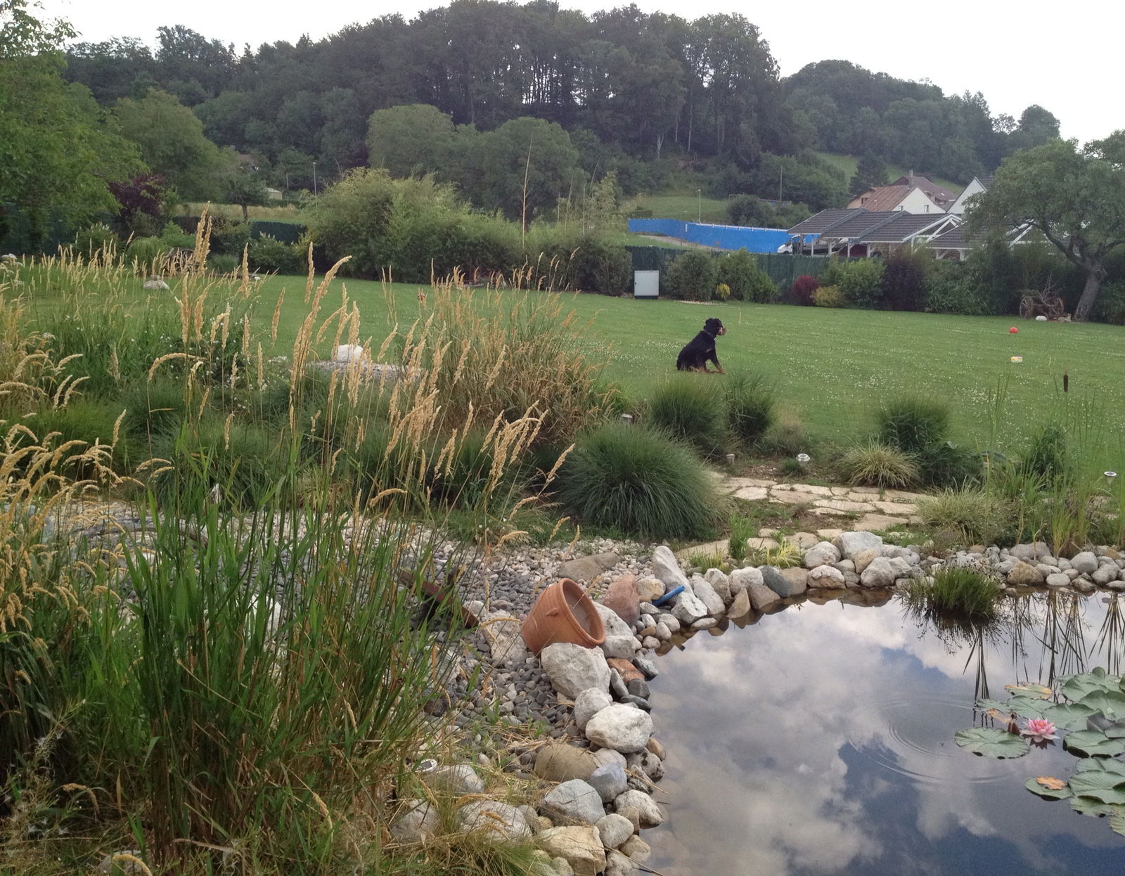 Hospedagem Em Casa De Família Montricher 289011