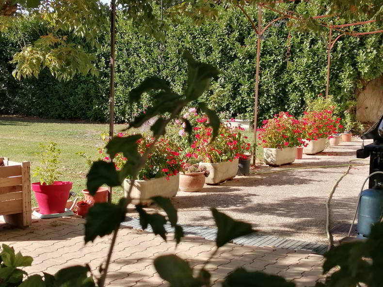 Quedarse En Casa Piolenc 230247-3