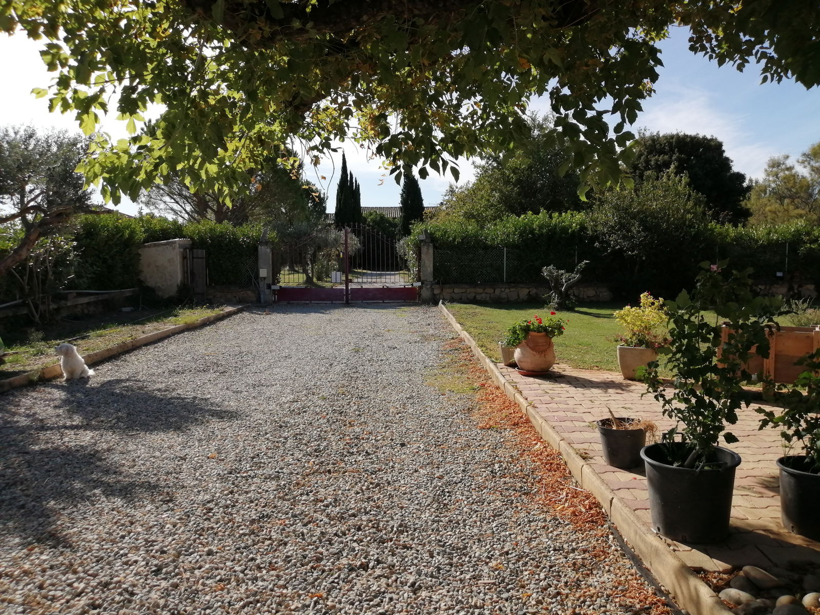 Homestay Piolenc 259690