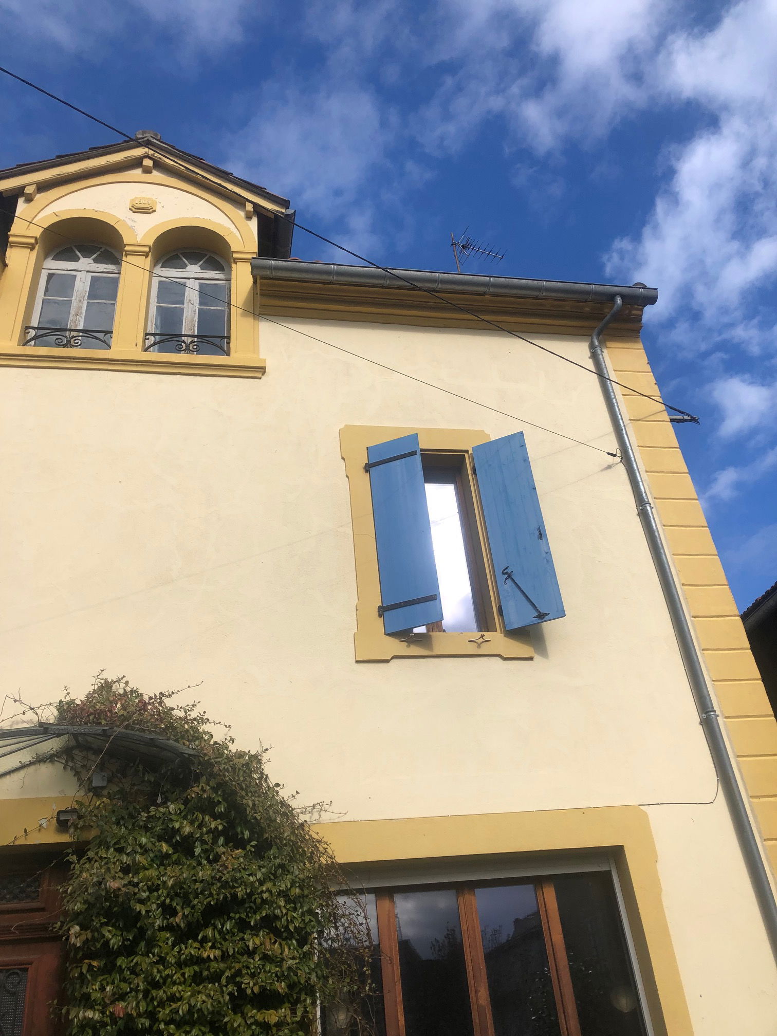 Famiglia Espéraza 264499