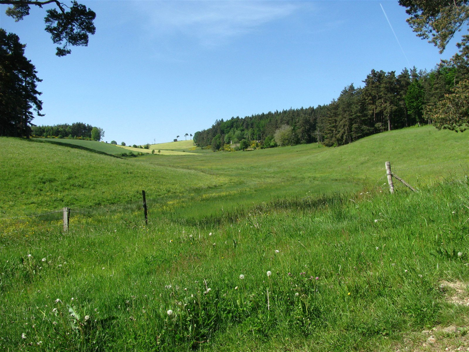 Hemvistelse Saint-André-en-Vivarais 131608