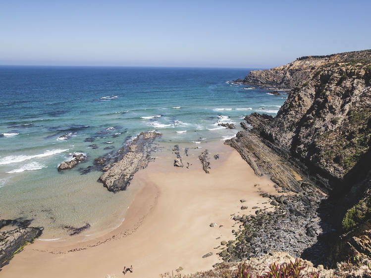 Toda La Casa Beja 260958-1