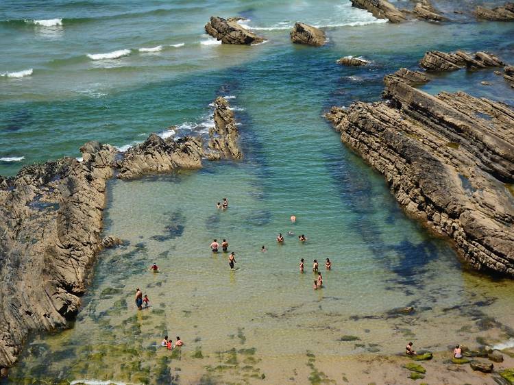 Toda La Casa Beja 260958