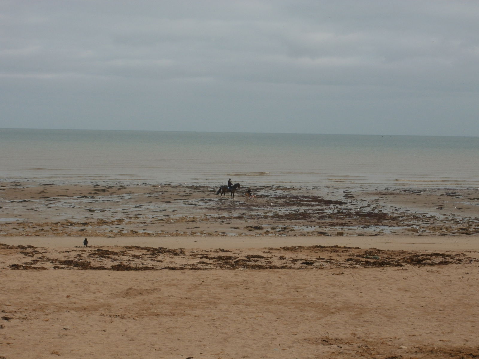 Bed And Breakfast Saint-Aubin-sur-Mer 166572