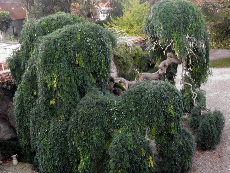 Bed And Breakfast Guînes 92326-3