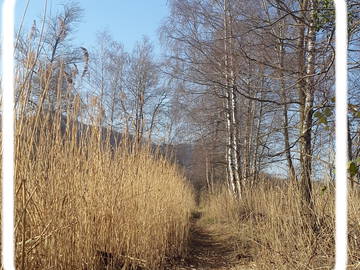 Gastfamilie Cheyres-Châbles 583121-3