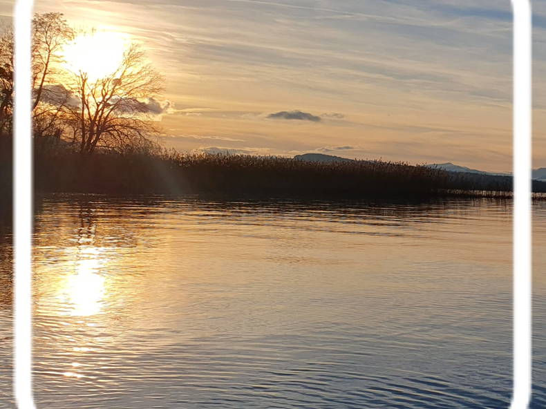 Chambre Chez L'habitant Cheyres-Châbles 583121-4