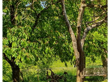 Chambre Chez L'habitant Cheyres-Châbles 583121-14