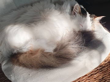 Chambre Chez L'habitant Cheyres-Châbles 583121-9