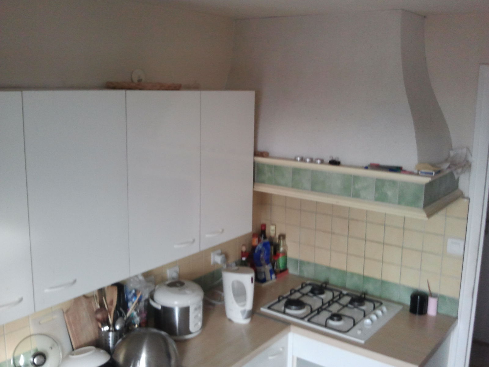 Colocation Saint-Martin-d'Hères 74831