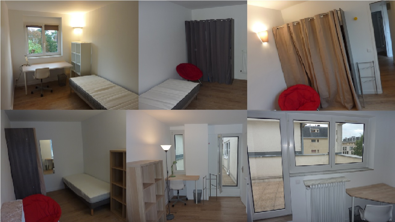 Colocation Versailles 190364