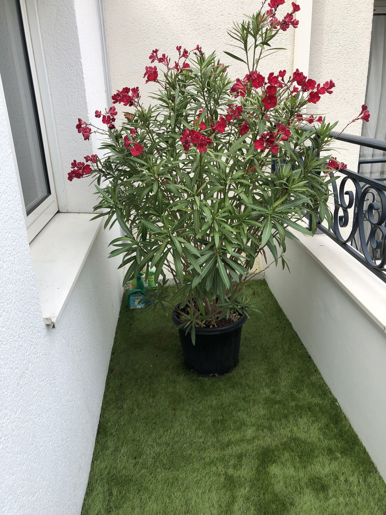 Hjemmeophold Boulogne-Billancourt 252261