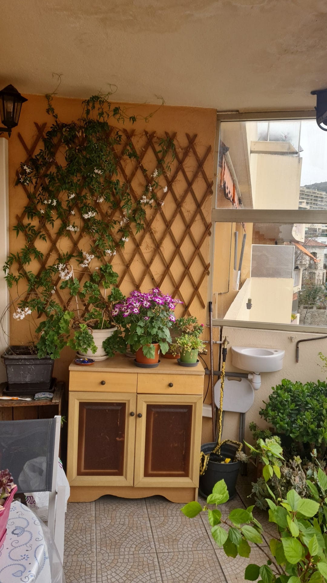 Hjemmeophold Nice 478204