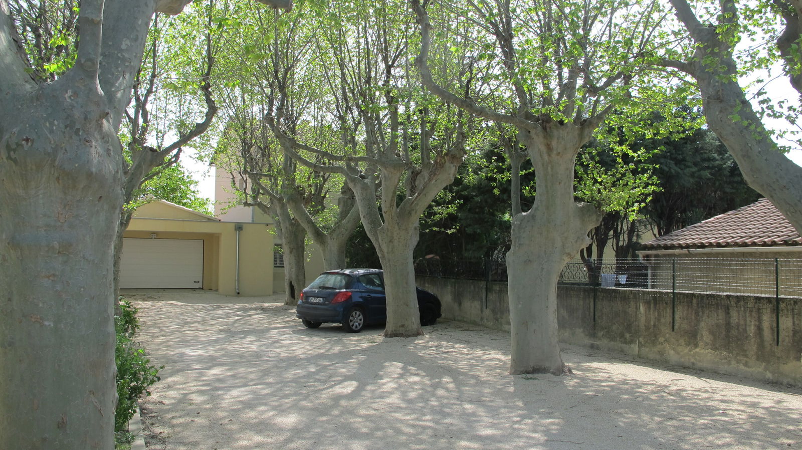 Uafhængigt Studie Avignon 71340