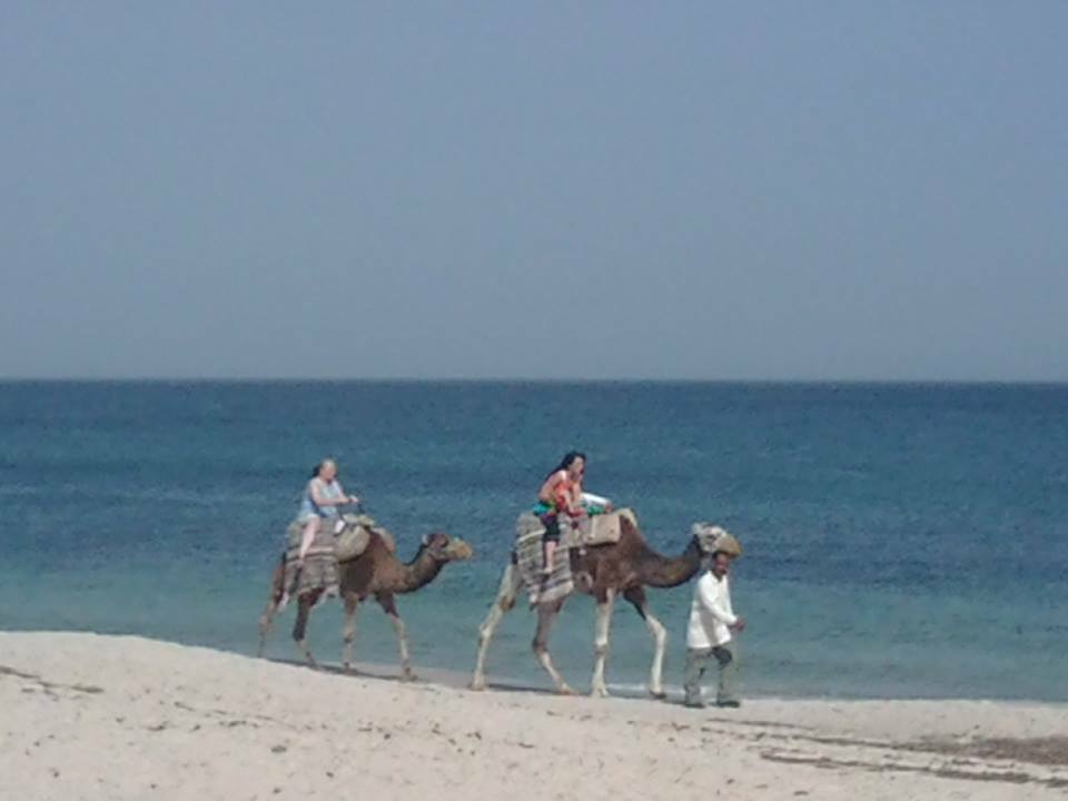 Uafhængigt Studie Tunis 67897