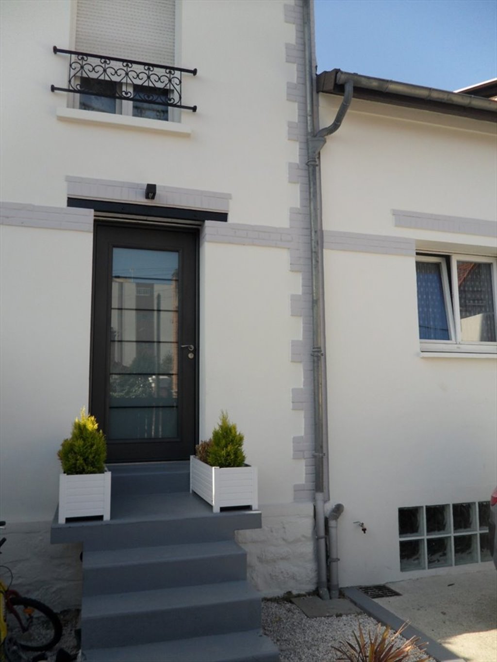 Kolokasie Saint-Maur-des-Fossés 498053