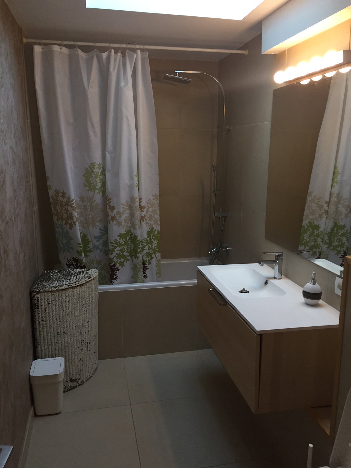 Kolokasie Saint-Maur-des-Fossés 498053