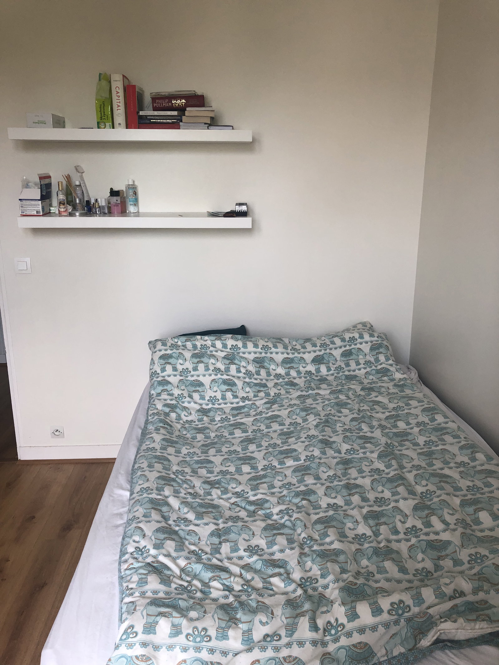 Kolokasie Saint-Maur-des-Fossés 498053