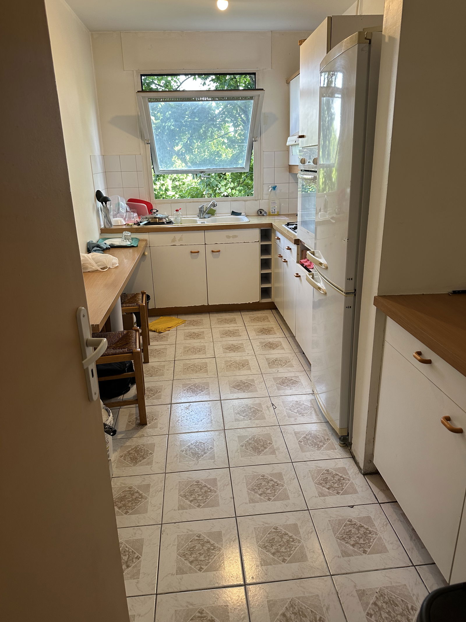 Kolokasie Grigny 555702