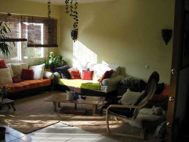 Kolokasie Saint Max 8129