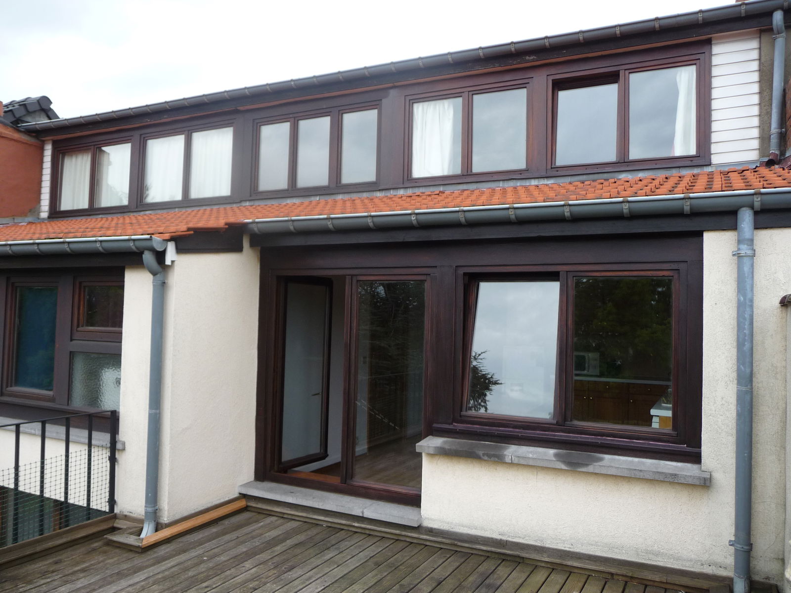 Kolokasie Schaerbeek 69733